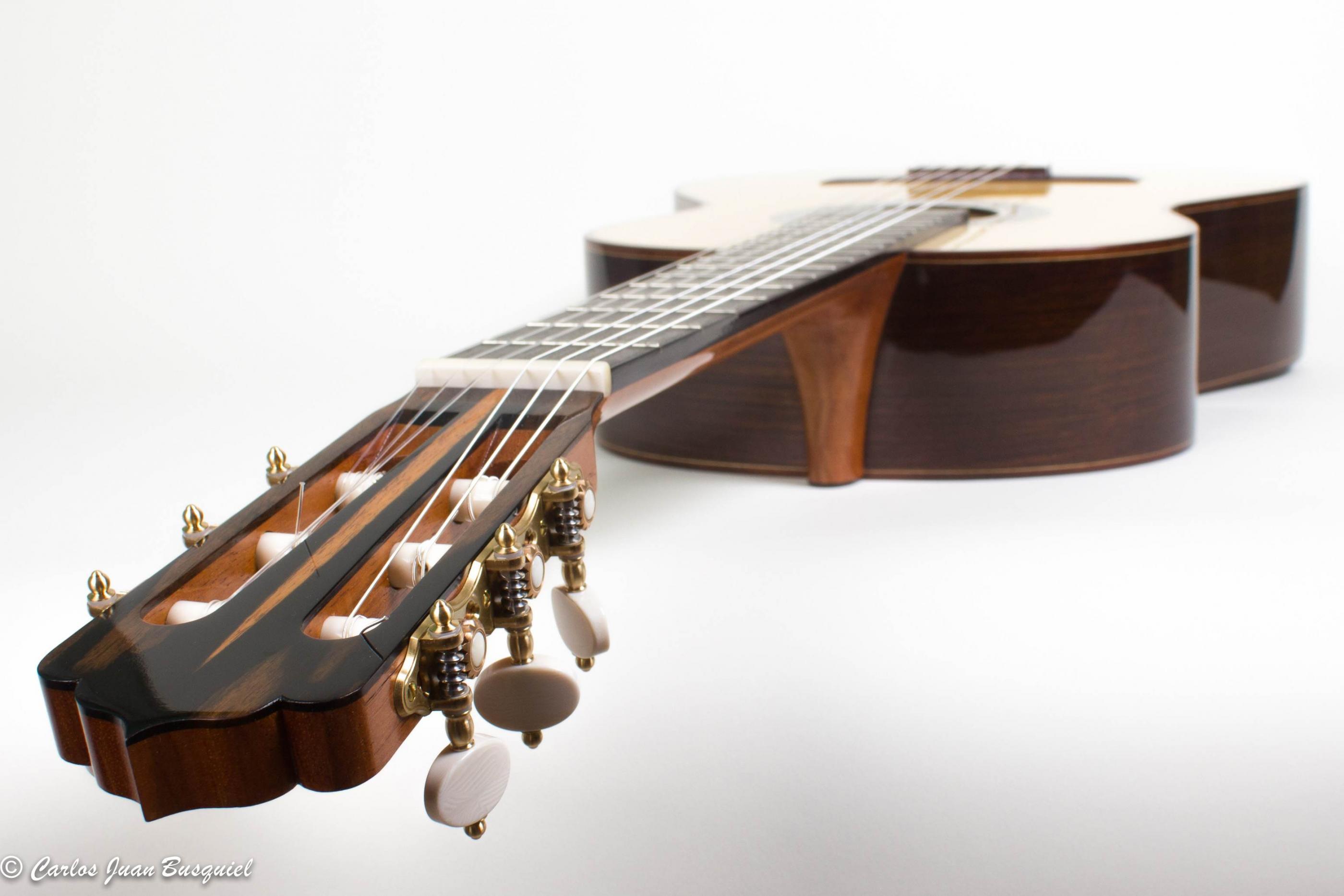 Carlos Guitar カルロスギター 5弦ベース Carlos Guitar カルロスギター/楽器｜WonderREX-ONLINE