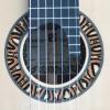 Classical guitar luthier: Rodney Stedall (New Zealand): Natural fern stem rosette